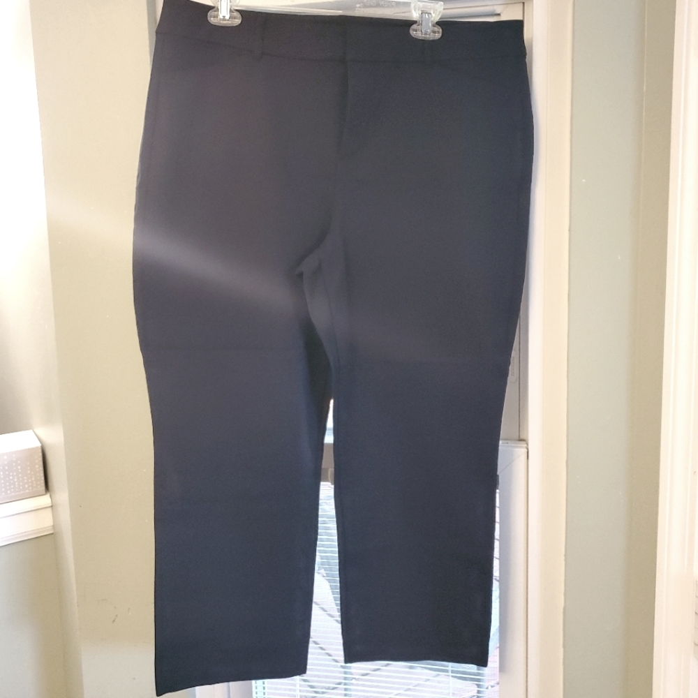 BOGO Old Navy Pixie Pants Straight Leg Size 16P